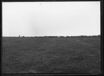 Archived Images\Photo images\Phd\7001P-7500P\7312P.jpg; 7312P; ;